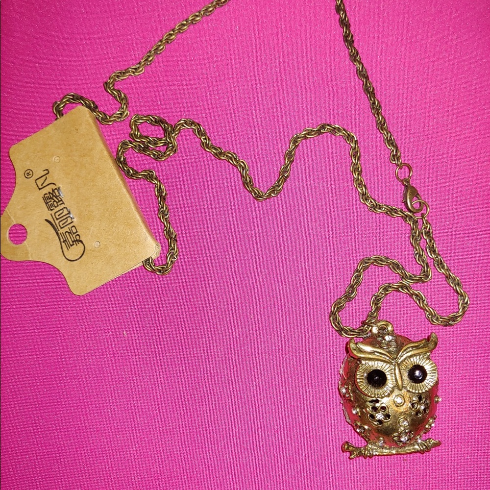 Cute Owl Bronze Plated Long Chain Necklace - Picture 3 of 5